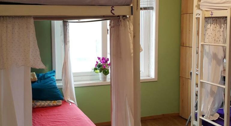 Lemon Tree Guesthouse - Photo4