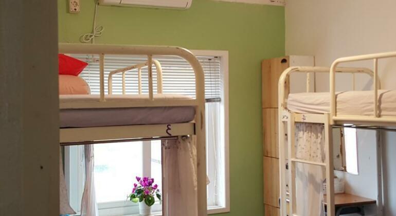 Lemon Tree Guesthouse - Photo5