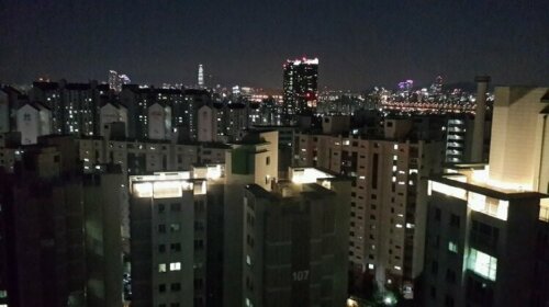 Spacious Apartment in Central Seoul