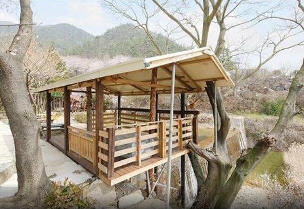 Suncheon Pool Valley Pension - Photo5