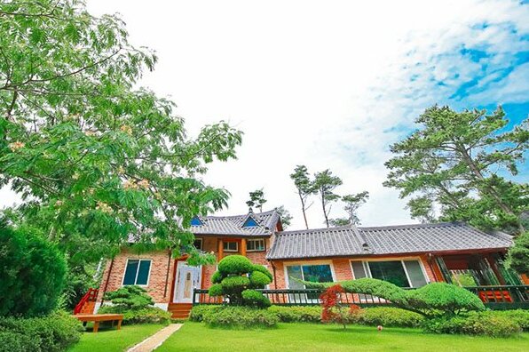 Anmyeondo Pinetree Villa Pension - Photo5