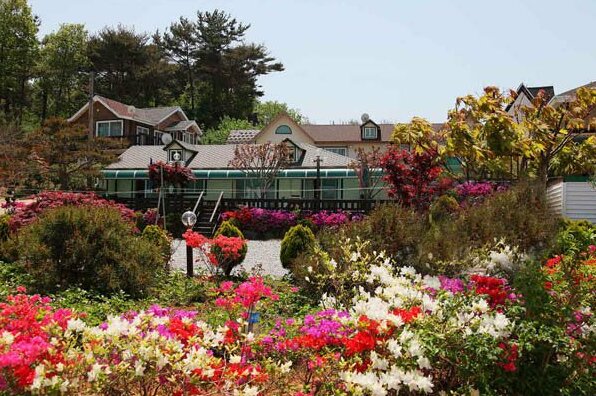 AnmyeondoIreland Pension - Photo4