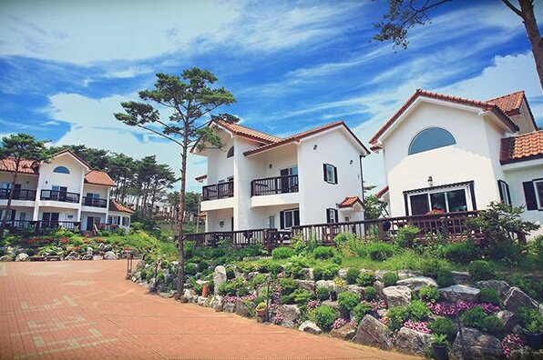 Anmyeongdo Mediterranean Pension - Photo3