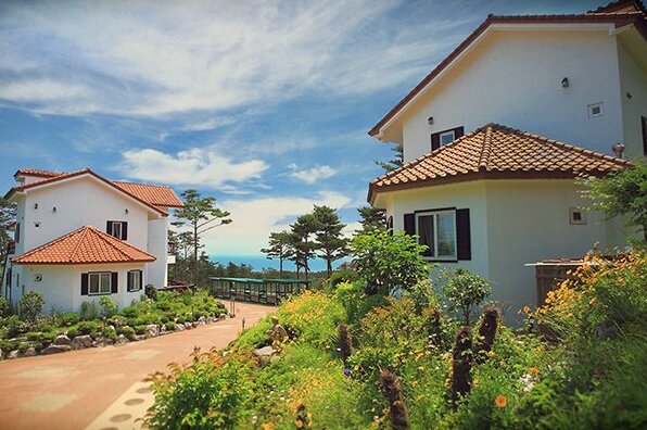 Anmyeongdo Mediterranean Pension - Photo4