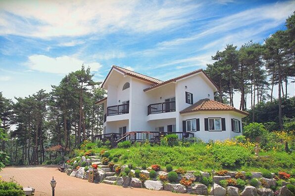 Anmyeongdo Mediterranean Pension - Photo5