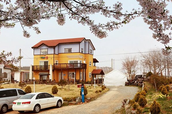 Taean Come & Play Pension - Photo4