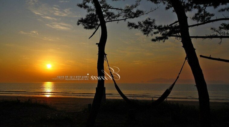 Taean El Mar Pension - Photo4