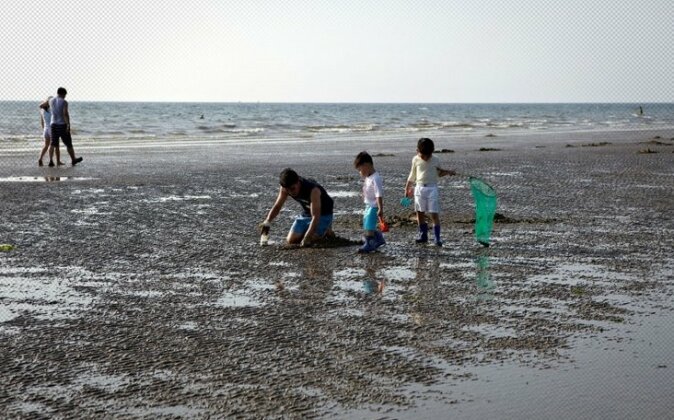 Taean Eldorado Pension - Photo5