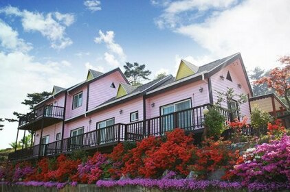 Taean Golden Chive Pension