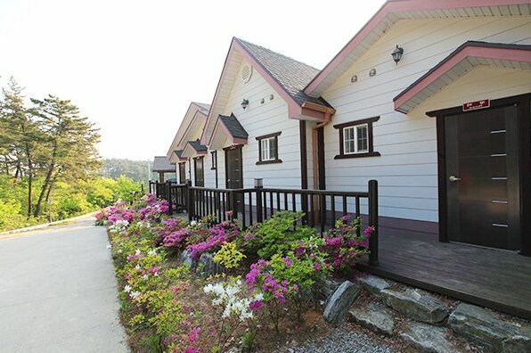 Taean Haesol Maru Pension - Photo4