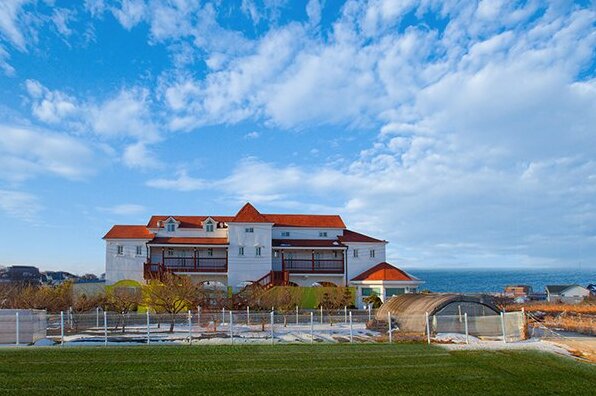 Taean Ilmarae Pension pet allowed - Photo2