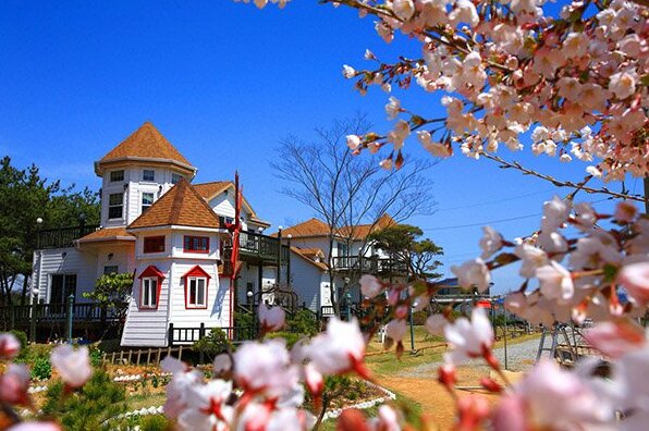Taean Mermaids Pension - Photo4