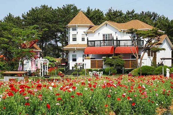 Taean Mermaids Pension - Photo5