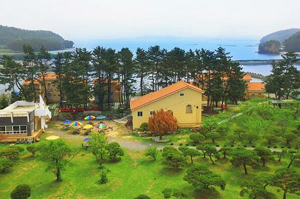 Taean The Tree Pension - Photo2