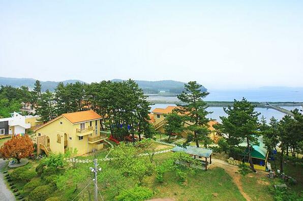 Taean The Tree Pension - Photo3