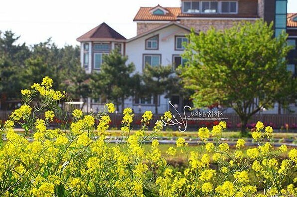 Taean West Pine Pension - Photo3