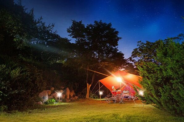 Taean Wood Fragrance Pension - Photo5