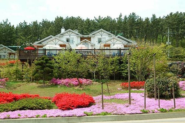 TaeanGolden Coast Pension - Photo4