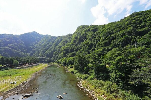 Wongju Bridge Pension - Photo2