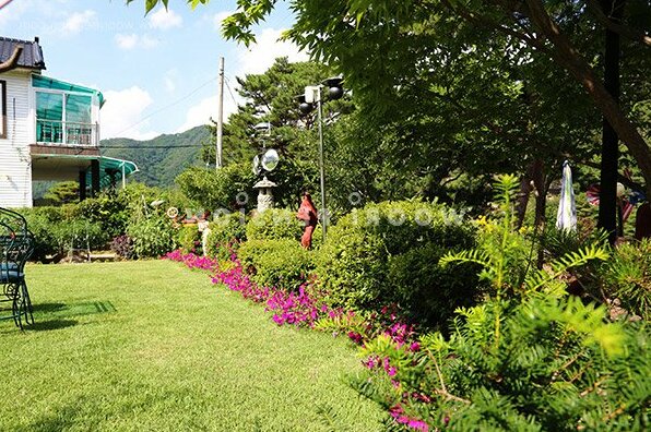 Wongju Pine Pension - Photo2