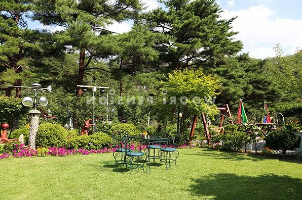 Wongju Pine Pension - Photo4