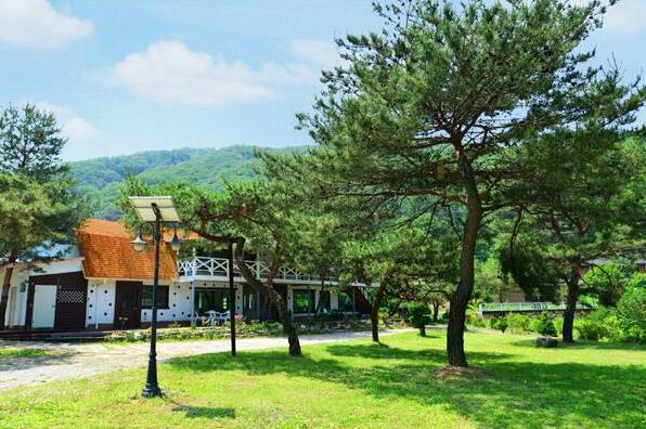 Wonju Munmak-eup Healing & Recreation Park Pension - Photo4