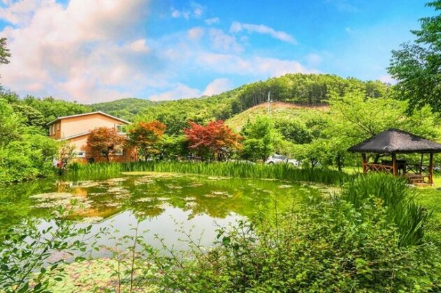 Girugi Pension - Photo2