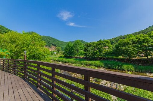 YangPyeong Anna & Gina Pension - Photo5