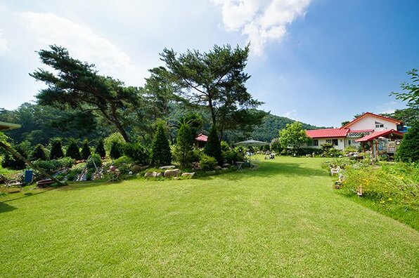 YangPyeong Dandelion Pension - Photo3