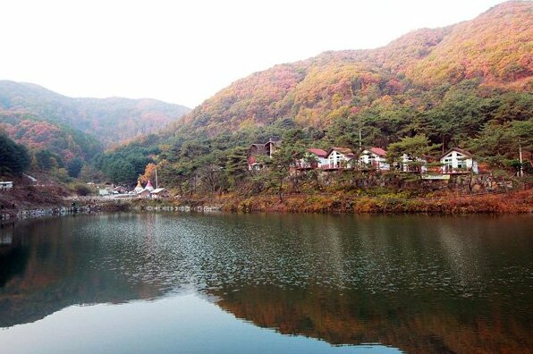 Yangpyeong Dotorigol Pension - Photo3