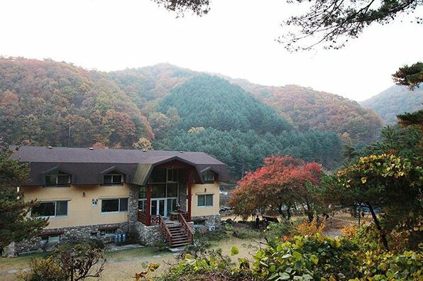 Yangpyeong Dotorigol Pension - Photo4