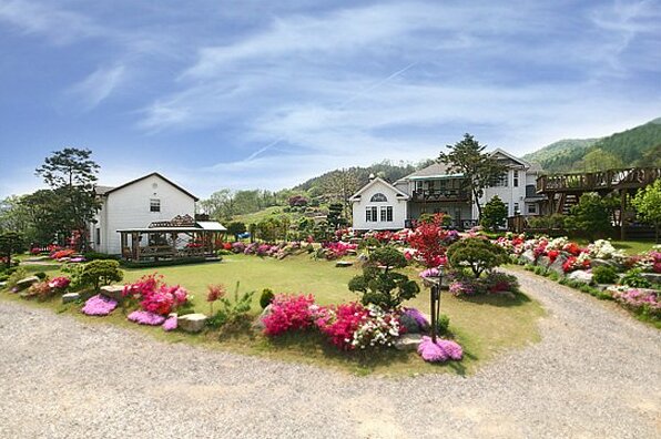 YangPyeong Farm Stay Pension - Photo3