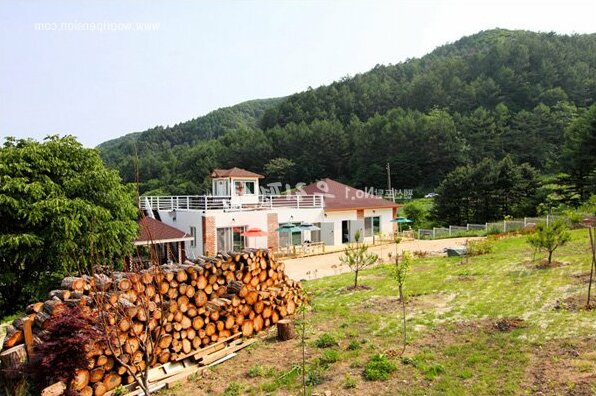 YangPyeong Gallery C Pension - Photo3