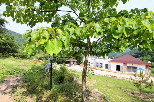 YangPyeong Gallery C Pension - Photo5