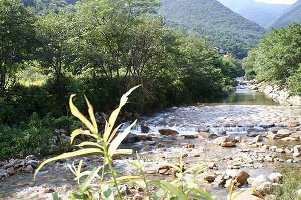 Yangpyeong Jadunamu Pension - Photo5