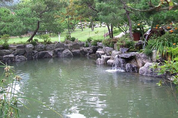 YangPyeong Morning Garden Pension - Photo3