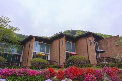 YangPyeong Mountain Valley Pension