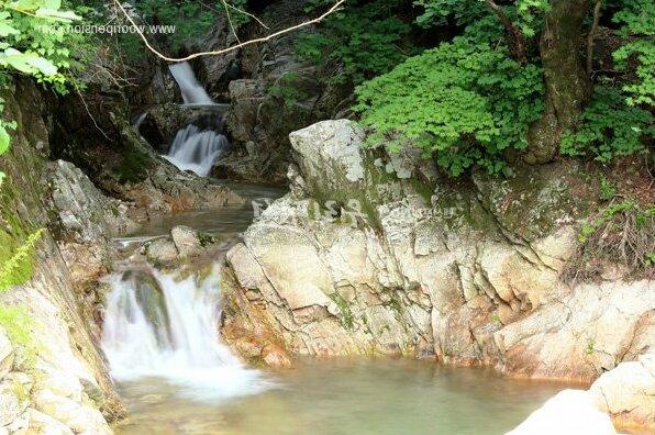 YangPyeong Over the Mountain pension - Photo5