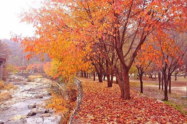 YangPyeong Serenade Pension - Photo3