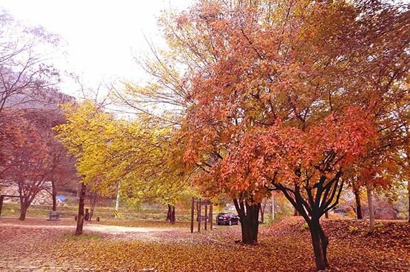 YangPyeong Serenade Pension - Photo4