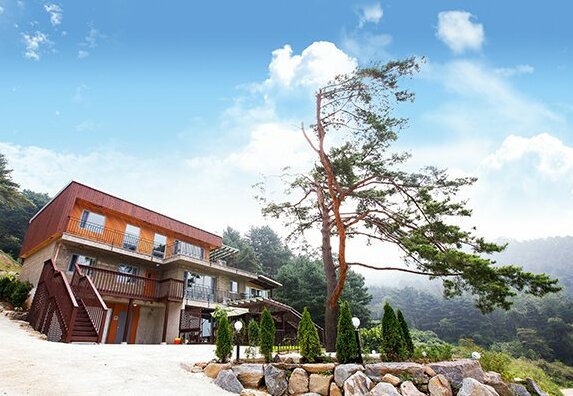 YangPyeong Sol Maru Pension - Photo2