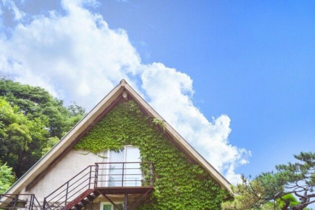 Yangpyeong Ssol House Pension - Photo3