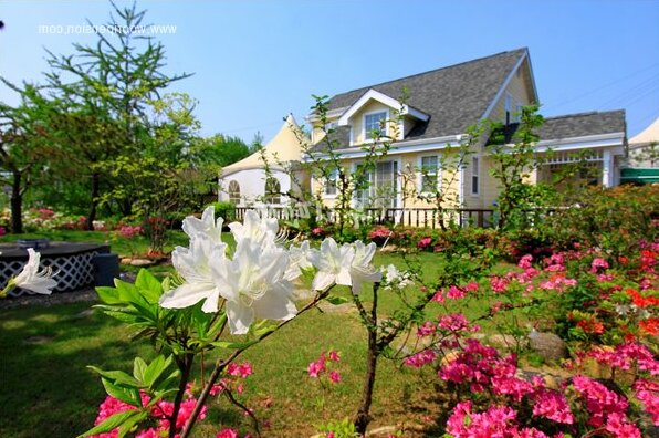 YangPyeong View Pension - Photo3