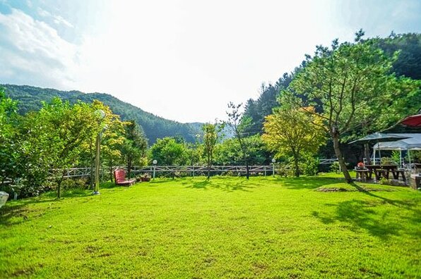 YangPyeong Vivaldi Pension - Photo5