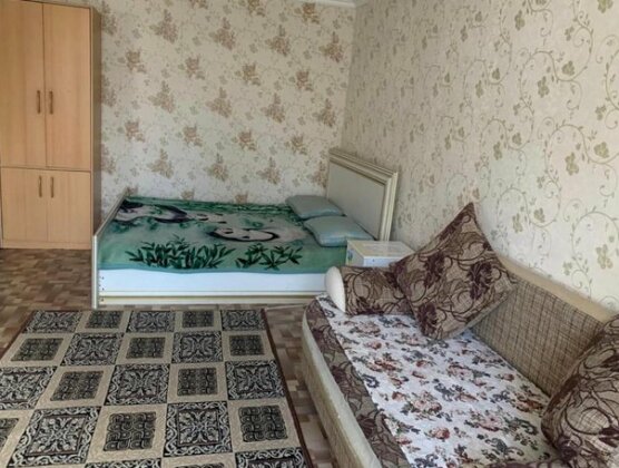 Apartment on Akhmetova 10