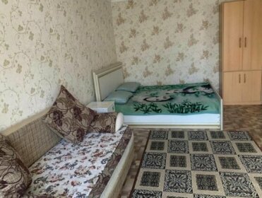 Apartment on Akhmetova 10