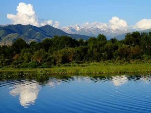 Eco guesthouse Almaty - Photo2