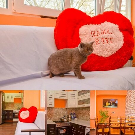 Hostel-Center-Almaty - Photo2