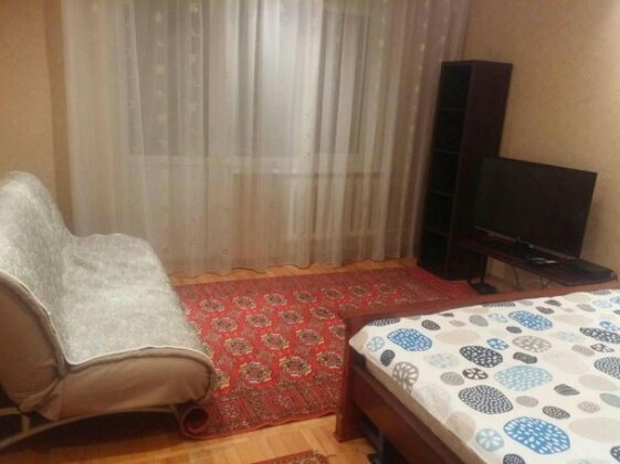 Standard Apartment Almaty Kazakhstan - Photo4