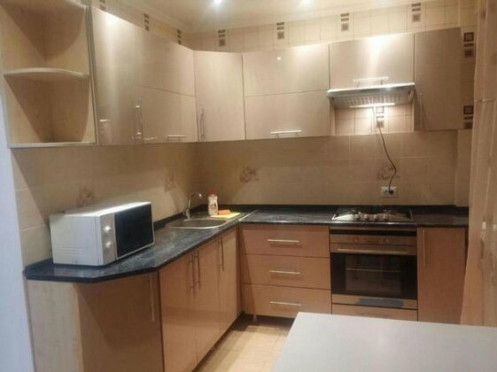 Standard Apartment Almaty Kazakhstan - Photo5